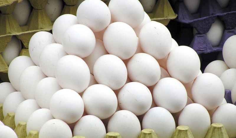 نیمی از تخم مرغ تولیدی قم به خارج از استان صادر می شود