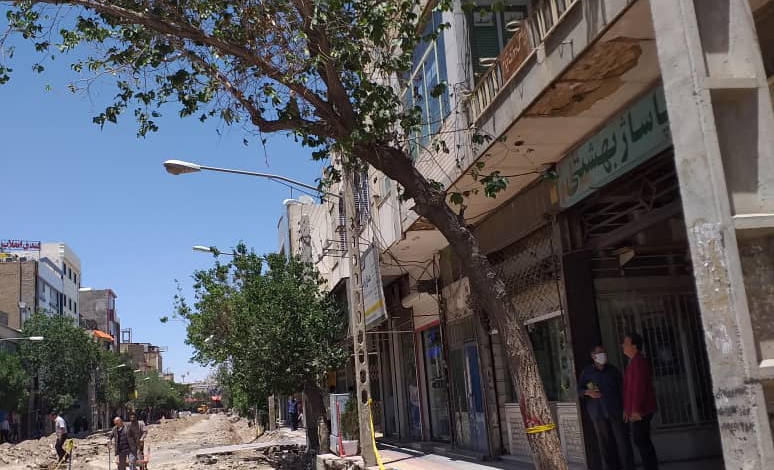 قطع درختان آلوده و ناایمن در خیابان انقلاب/کاشت درختان چندساله در پیاده‌راه انقلاب