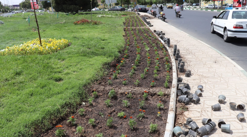 جایگزینی کمپوست‌های دامی به‌جای کودهای تازه برای تقویت فضای سبز شهر قم