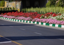 فضای سبز بلوار شهید سلیمانی توسعه می‌یابد/کاشت گیاهان سازگار با اقلیم قم