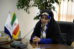 فرش ایران نیازمند سلیقه سازی است/ایجاد 2.5 میلیون فرصت شغلی در صنعت فرش
