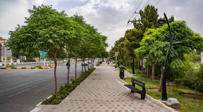 چهره فضای سبز قم مزین به درختان مثمر/سالانه ۲۰۰۰۰۰ درخت مثمر به فضای سبز قم افزوده می‌شود