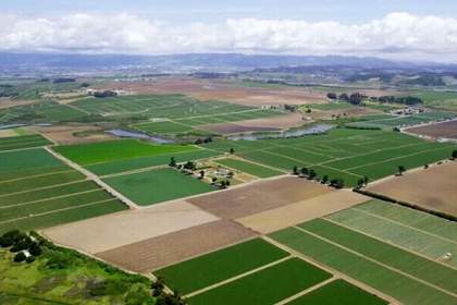 سند ۴۰ هزار هکتار از اراضی کشاورزی قم در حال آماده سازی و صدور است