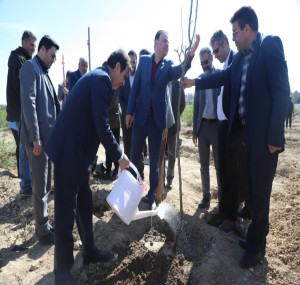 برگزاری جشن درختکاری و آغاز عملیات اجرایی فاز دوم بوستان جنگلی مقداد قم+تصاویر