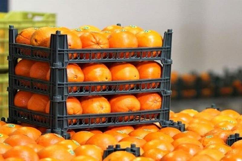 پرتقال، سیب و خرما در غرفه‌های تنظیم بازار قم عرضه می‌شود
