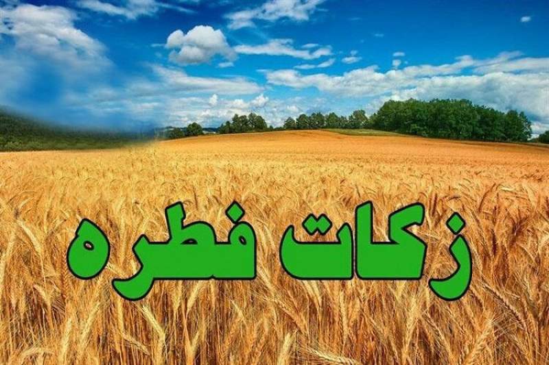 میزان زکات فطره از سوی دفتر آیت الله مکارم شیرازی اعلام شد