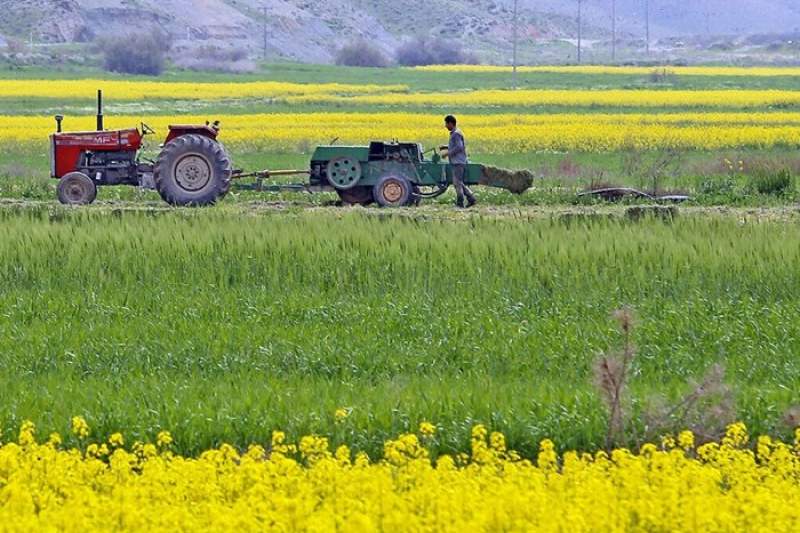 تولید و توزیع کود سولفات پتاسیم در قم جهشی شد
