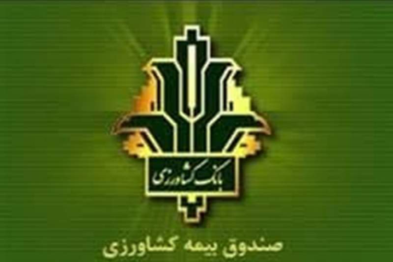 پرداخت بیش از ۱۵۰۰۰ میلیارد ریال تسهیلات توسط بانک کشاورزی استان قم