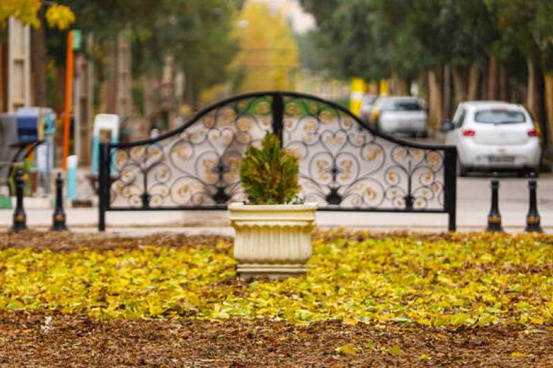 لزوم تبدیل پاییز هزاررنگ به یک رویداد واقعی شهروندی؛ از عکس تا داستان و نقاشی لزوم تبدیل پاییز هزاررنگ به یک رویداد واقعی شهروندی؛ از عکس تا داستان و نقاشی