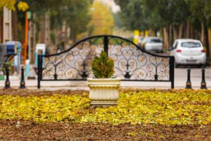 لزوم تبدیل پاییز هزاررنگ به یک رویداد واقعی شهروندی؛ از عکس تا داستان و نقاشی