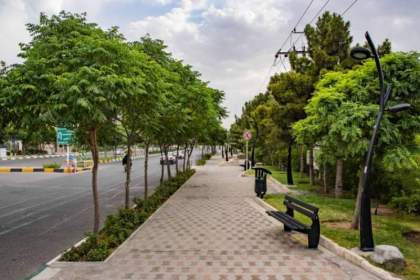 تأکید معاون خدمات شهری و محیط زیست شهرداری قم بر صیانت قانونمند از عرصه های فضای سبز و درختان