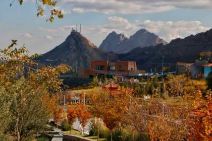 آغاز دوره‌های تخصصی رایگان برای توانمندسازی پیمانکاران فضای سبز در قم